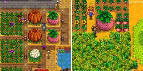 Giant crops stardew - The giant crops are the normal seeds that grow into a 3×3 scale crop and can give you 15 to 21 crops upon harvesting. There are only three crops that can grow …